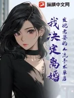 《发现老婆的人流手术单后,我决定离婚》小说封面