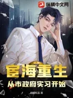 《宦海重生:从市政府实习开始》小说封面