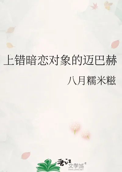 《上错暗恋对象的迈巴赫》小说封面