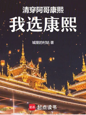 《清穿:阿哥,康熙,我选康熙!》小说封面
