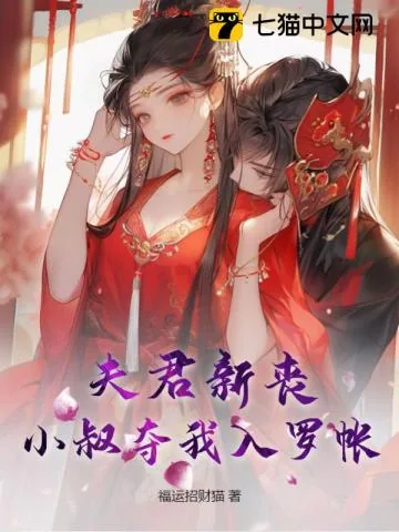 《夫君新丧，小叔夺我入罗帐》小说封面