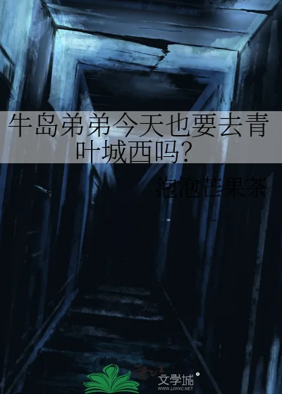 《牛岛弟弟今天也要去青叶城西吗？》小说封面