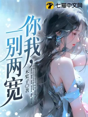 《你我,一别两宽》小说封面