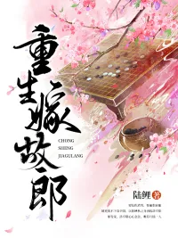 《重生嫁故郎》小说封面