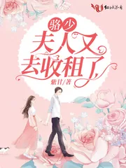 《骆少,夫人又去收租了》小说封面