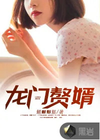 《龙门赘婿》小说封面