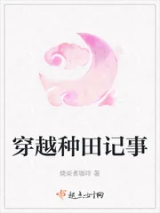 《穿越种田记事》小说封面