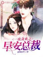 《一夜贪欢之早安总裁》小说封面
