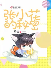 《张小花的秘密》小说封面