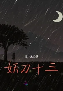 《妖刀十三》小说封面