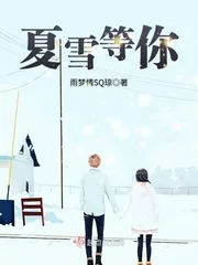 《夏雪等你》小说封面