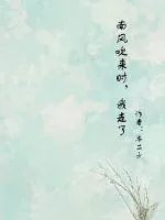 《南风吹来时,我走了》小说封面