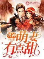 《男神,萌妻有点甜》小说封面