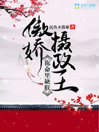 《傲娇摄政王，你命里缺朕》小说封面