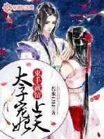 《束手就情:太子宠妃上天》小说封面