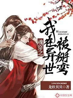 《魂穿之我在异世被掰弯》小说封面
