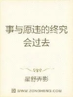 《事与愿违的终究会过去》小说封面