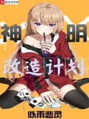 《神明改造计划》小说封面