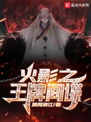 《木叶之王牌间谍》小说封面