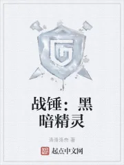 《战锤:黑暗精灵》小说封面