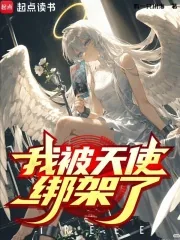 《我被天使绑架了?》小说封面