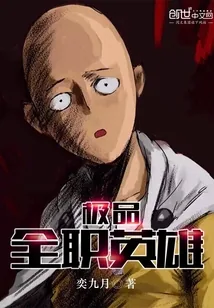 《极品全职英雄》小说封面