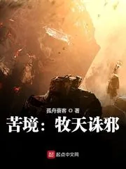 《苦境:牧天诛邪》小说封面