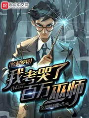 《哈利波特：我考哭了百万巫师》小说封面