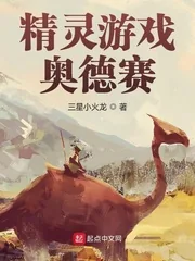 《精灵游戏:奥德赛》小说封面
