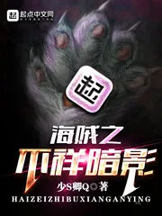 《海贼之不祥暗影》小说封面