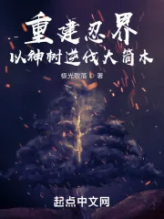 《重建忍界：以神树逆伐大筒木》小说封面