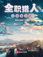 《全职猎人之美食之神》小说封面