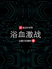 《浴血激战》小说封面