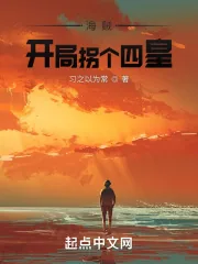 《海贼:开局拐个四皇》小说封面