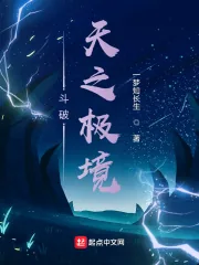 《斗破:天之极境》小说封面