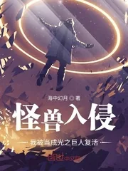 《怪兽入侵,我被当成光之巨人复活》小说封面