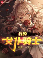 《我的女仆骑士》小说封面
