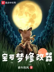 《宝可梦修改器》小说封面