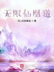《无限仙凰道》小说封面
