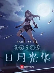 《斗罗之日月光华》小说封面