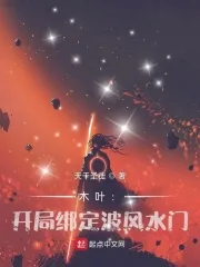 《木叶：开局绑定波风水门》小说封面