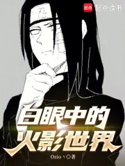 《白眼中的火影世界》小说封面