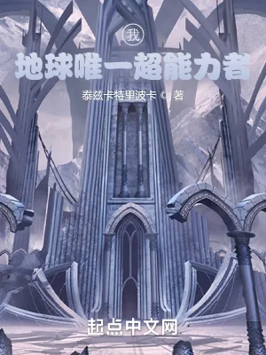 《我,地球唯一超能力者》小说封面