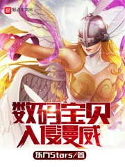 《数码宝贝入侵美漫》小说封面