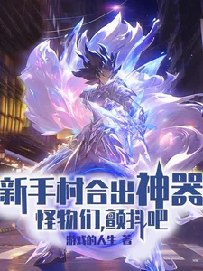 《新手村合出神器，怪物们，颤抖吧》小说封面
