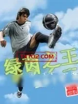 《绿茵之王》小说封面