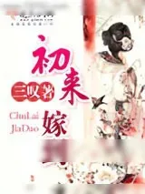 《初来嫁到》小说封面