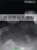 《游戏里从不透明》小说封面