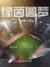 《绿茵圆梦》小说封面
