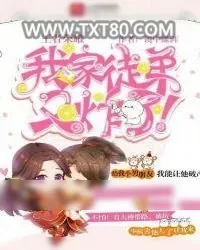 《王者荣耀:我家徒弟又炸了!》小说封面